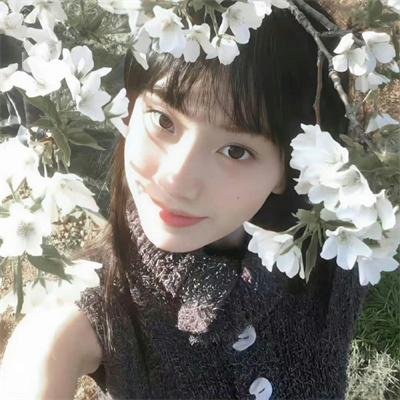 重返高校之风云再起